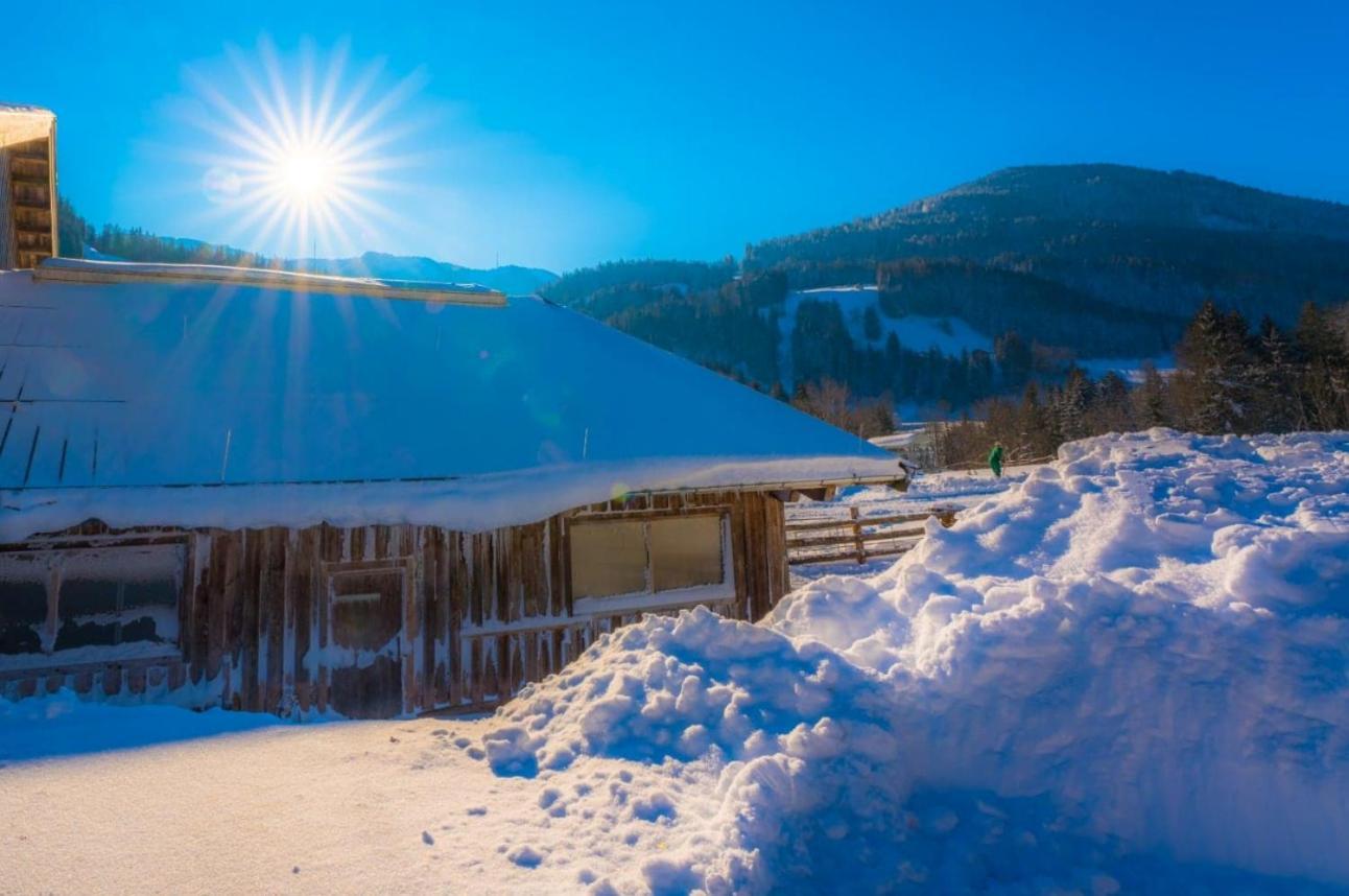 Erbhof Hinterrain Villa Leogang Kültér fotó