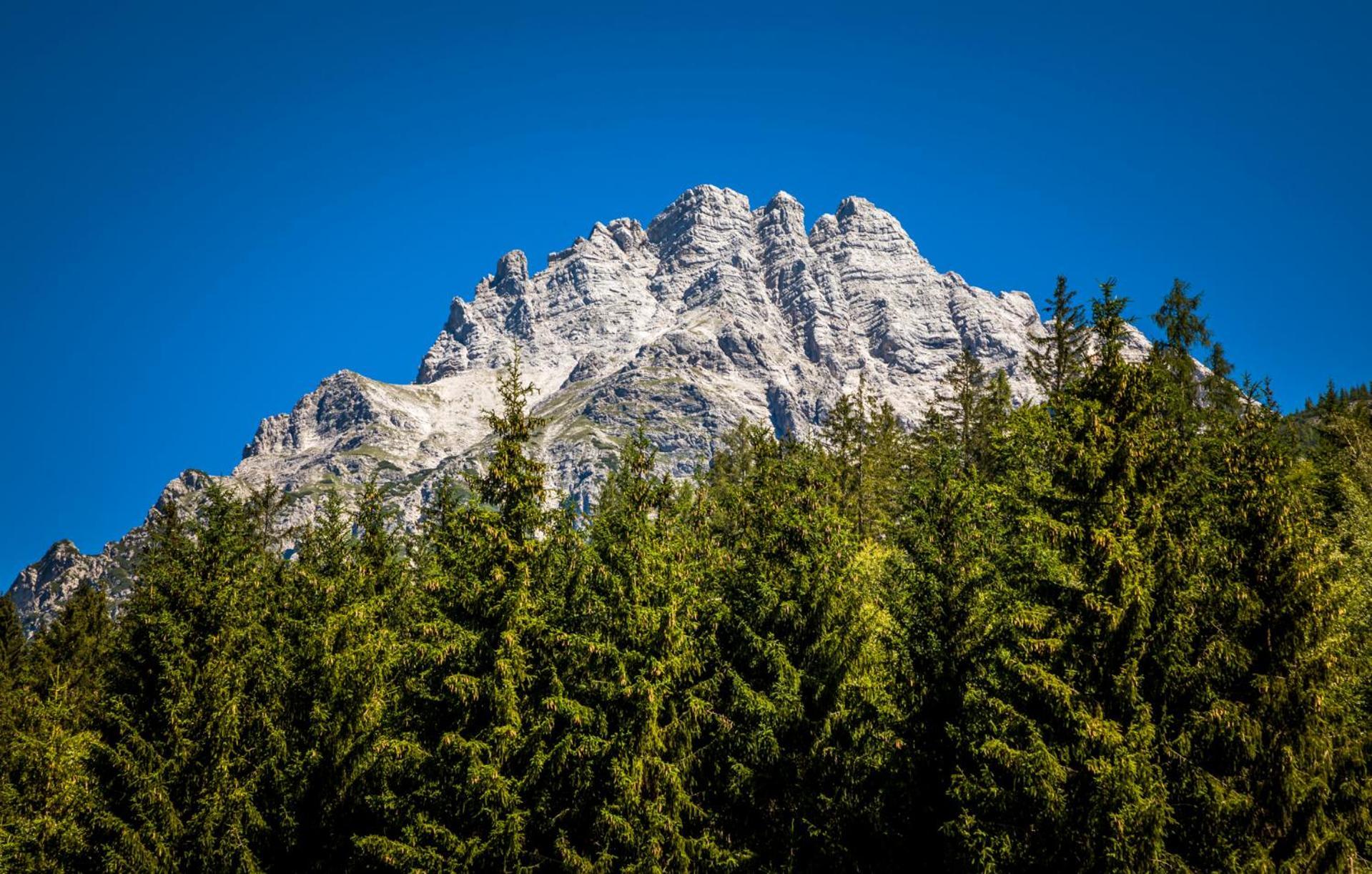 Erbhof Hinterrain Villa Leogang Kültér fotó