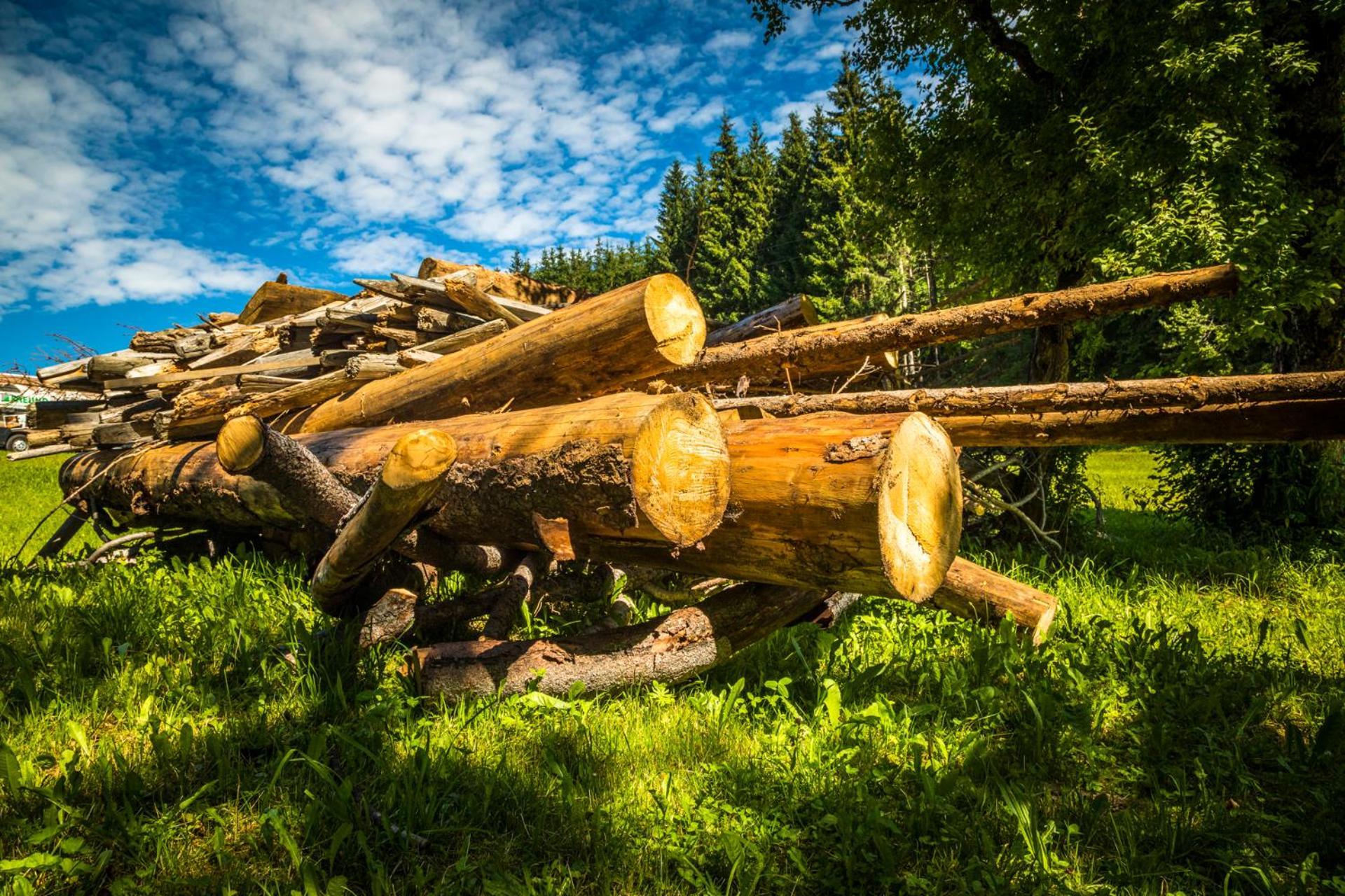 Erbhof Hinterrain Villa Leogang Kültér fotó